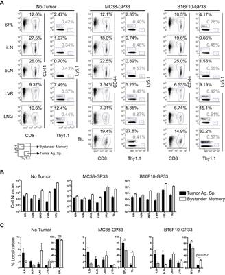 Solid Tumor Microenvironment Can Harbor and Support Functional Properties of Memory T Cells